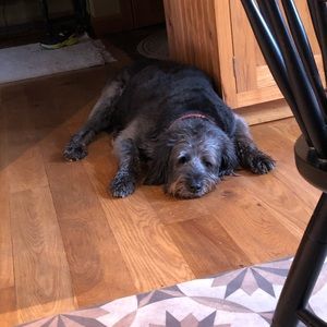 Meet your Posher, Ur